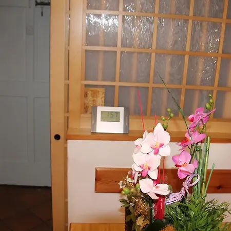 Dolomites Holidays *